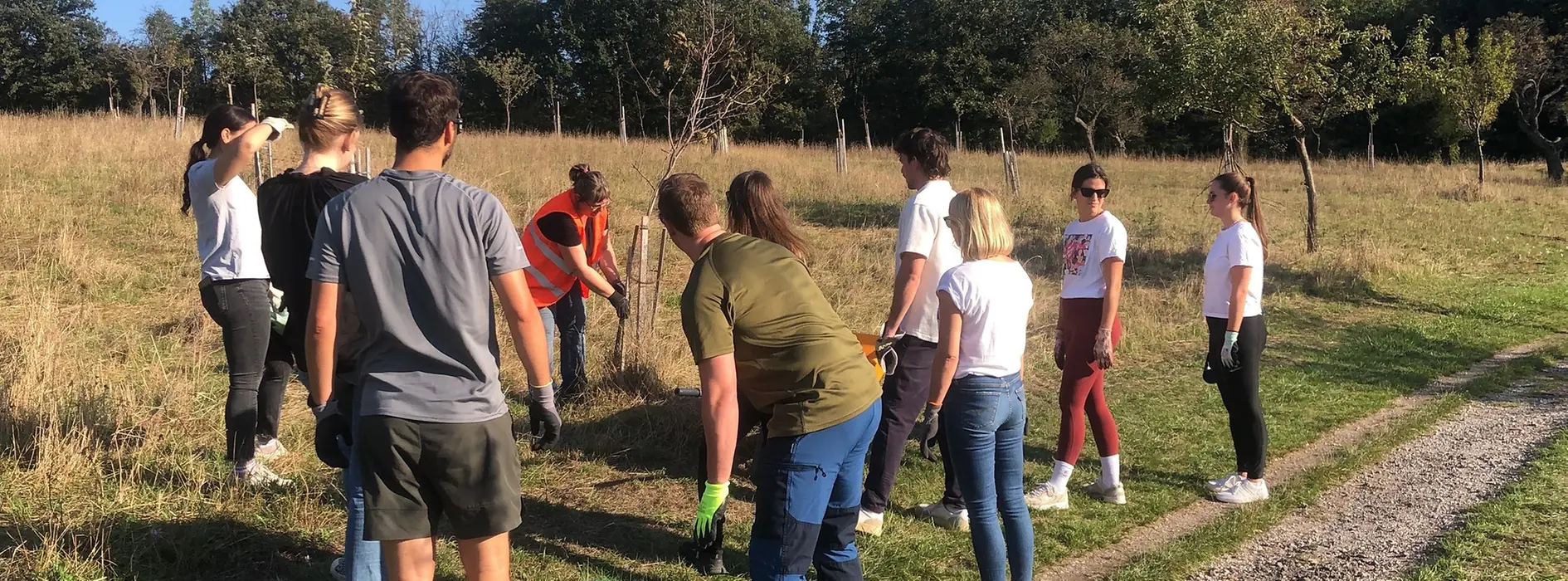 Gruppe pflanzt gemeinsam Bäume