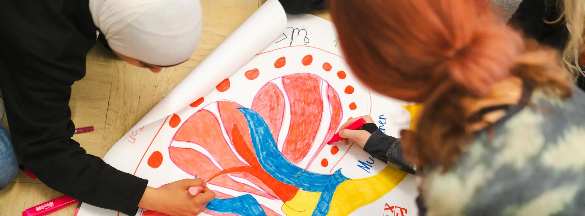 Kinder, die eine Niere zeichnen