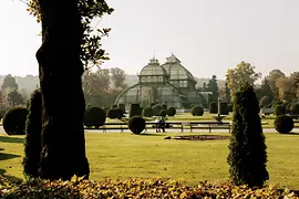 Palmenhaus im Schlosspark Schönbrunn 