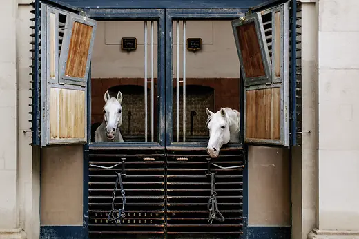 Spanische Hofreitschule, Lipizzaner, Sattelkammer