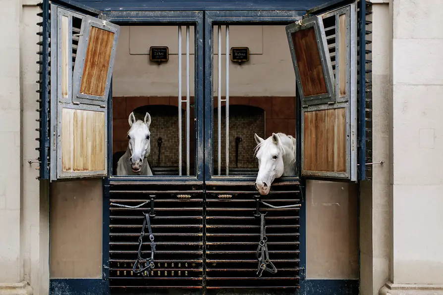 Spanische Hofreitschule, Lipizzaner, Sattelkammer