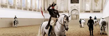 Spanish Riding School, Rider on Lipizzaner