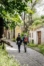 Forest hiking