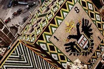 Roof of St. Stephans Cathedral