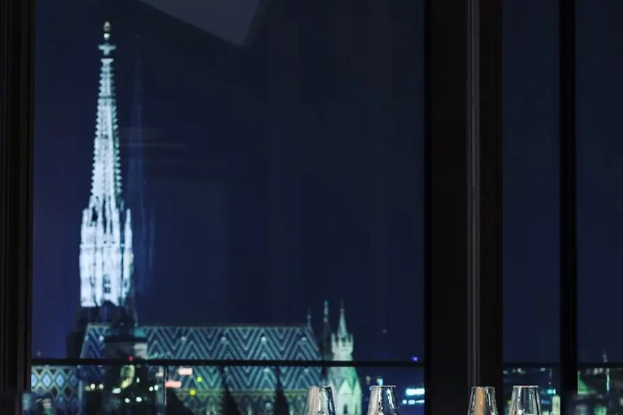 Blick auf Stephansdom