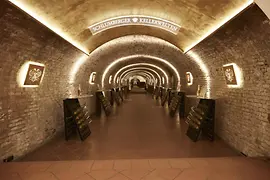 Tasting cellar