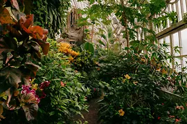 Butterfly House in the Burggarten