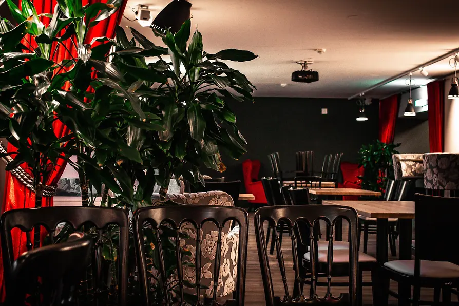 Das Vindobona Lounge