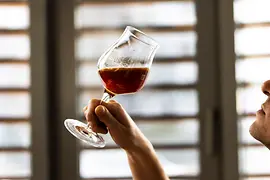 Person is holding up a glass of beer