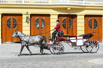 Pferdekutsche mit Fahrer