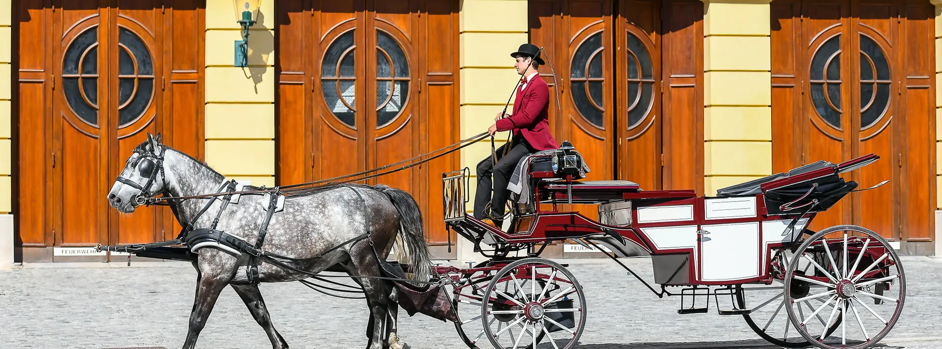 Horse carriage with driver