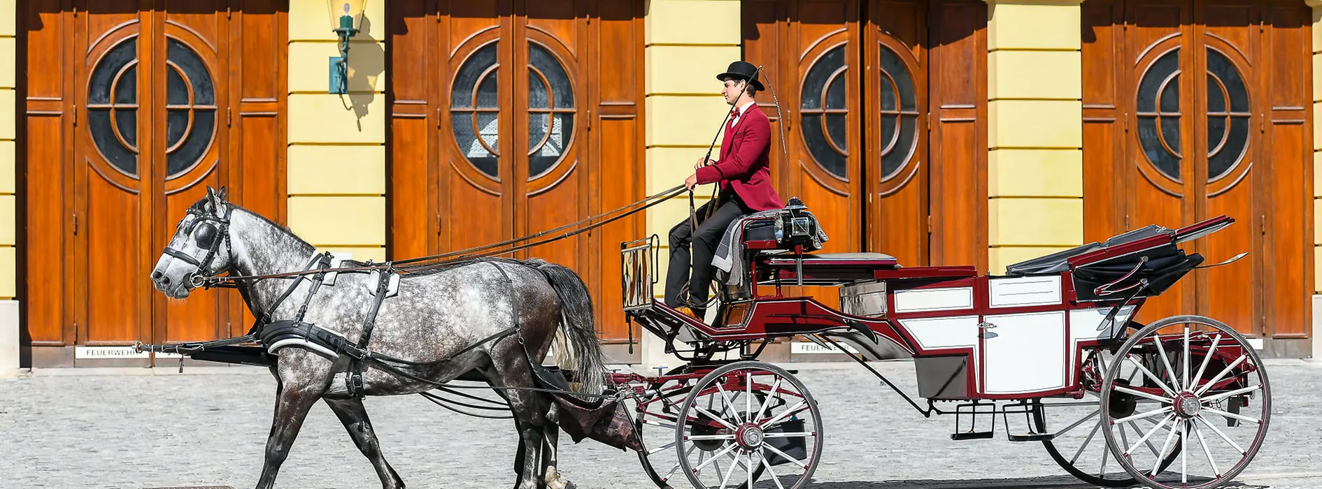 Horse carriage with driver