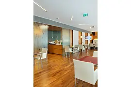 ATH Europa Executive Lounge