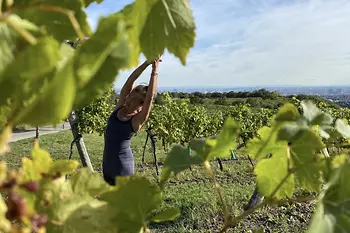 Woman doing yoga in greenery