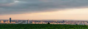 View over Vienna with vineyards in foreground