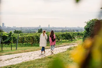 Hiking through Viennese vineyards