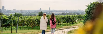 Hiking through Viennese vineyards