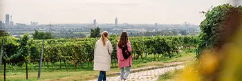 Hiking through Viennese vineyards