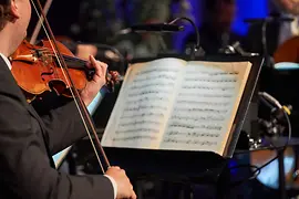 Man playing violin