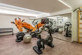 Quality Hotel Vienna Fitness Area