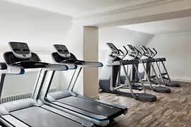 Renaissance Wien Hotel Fitness