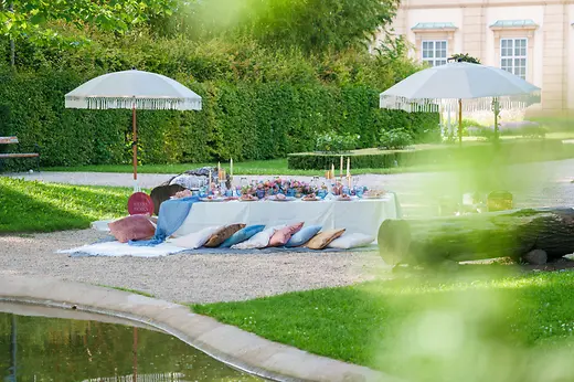Luxury picnic