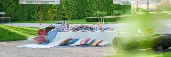 Luxury picnic