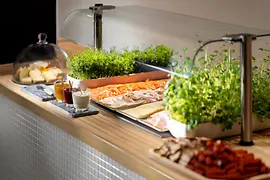 Clarion Hotel Vienna South